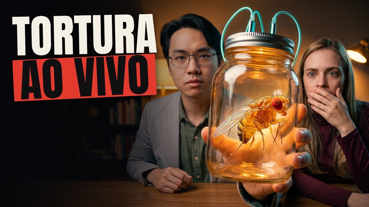 A Internet Está Torturando uma Mosca (cérebro open source)